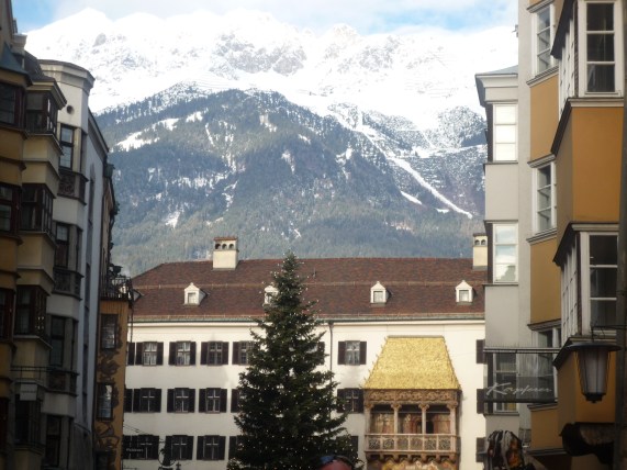 (c) Betty Quast 2013